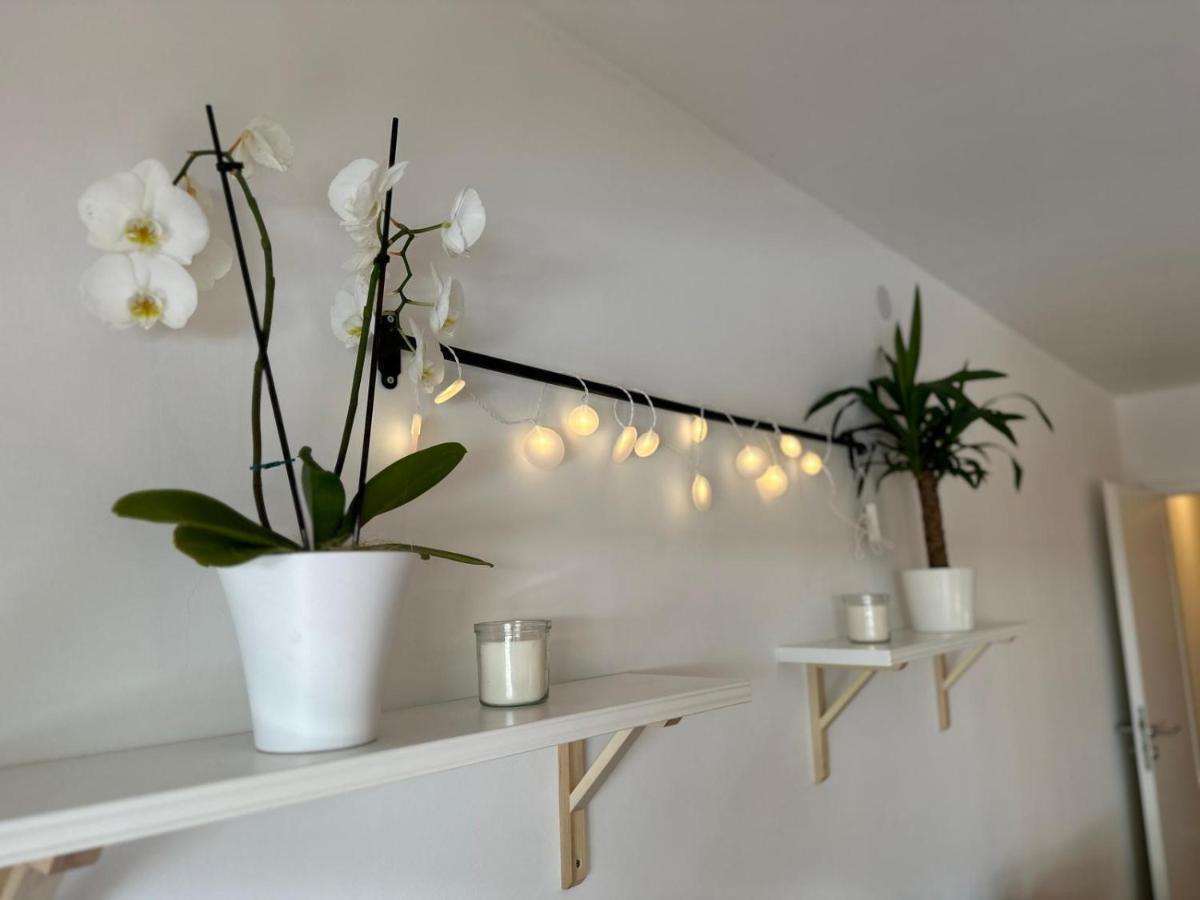 Olaf Und Hildegard Apartment Bad Wildbad Luaran gambar